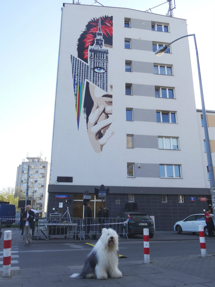 Mural Dawida Bowiego w Warszawie